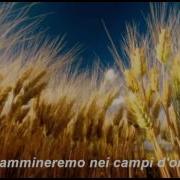 Field Of Gold Sting Traduzione Italiano