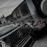 Тайпан Il Giz Парень Молодой