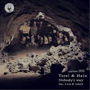 Tosel Hale Nobody S Way Original Mix