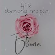 H1 Blume