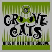 Tricky Groove Cats