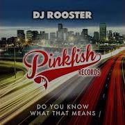 Dj Rooster Do You Know What That Means