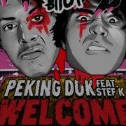 Welcome Diamond Lights Remix Peking Duk