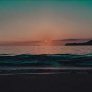 Sunlight Project Still Breathing