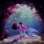 Камиль Малой Поплыл