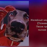 Зачем Мне Паша Собака И Ты Купил Мне Этот Кабриолет