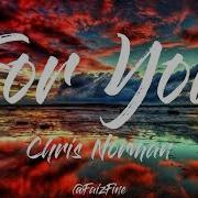 Chris Norman For You Lyrics Faizfine