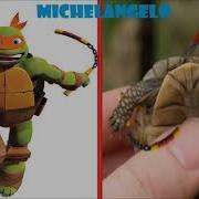 Tmnt 2012 In Real Life Character Comparisons