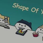 Bongo Cat Shape Of You