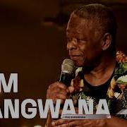 Sam Mangwana Mixtape