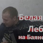Белая Лебедь На Баяне