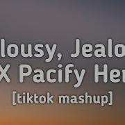 Jealousy Jealousy X Pacify Her Tiktok Mashup Lyrics Fab Music