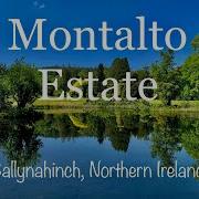 Montalto