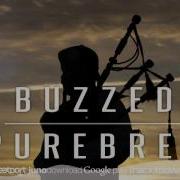 Purebred Vocal Mix Buzzed