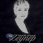 Zeynep Bende