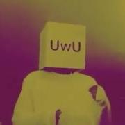 Uwu Box