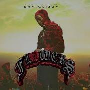 Cleansing My Soul Shy Glizzy