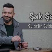 Sak Sak Erkan Acar