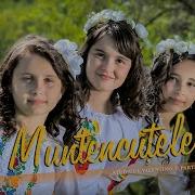 Muntencutele