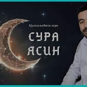 Мухаммаджон Кори Ясин Сураси