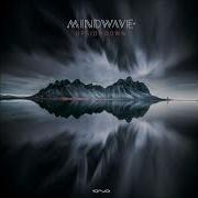 Upside Down Mindwave