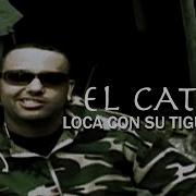 El Cata Loca Con Su Tiguere