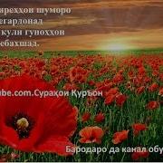 Дуои Бахткушо