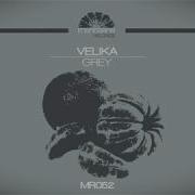 Velika Grey