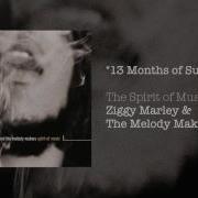 13 Months Of Sunshine Ziggy Marley And The Melody Makers