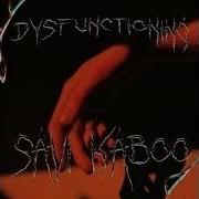 Dysfunctioning Savi Kaboo