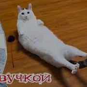 Прикольная Озвучка Животных