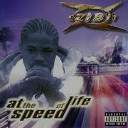 Birds Eye View Xzibit