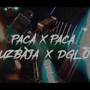 Paca X Paca Luz Baja Dglo73