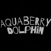 Aquaberry Dolphin Feat Mac Miller Riff Raff