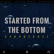 Started From The Bottom Spongebozz