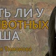Тимонова И Другие Звери