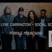 Purple Mountains Feat Kokayi Terri Lyne Carrington Social Science