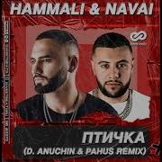 Hammali Navai Птичка D Anuchin Pahus Radio E