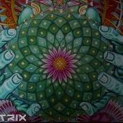 1200 Micrograms Mescaline Astrix Remix