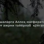 Омар Хишам Ахзоб Сураси 35 Оят