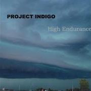 Techno Groove Project Indigo