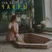 Iva Sativa Чакры