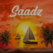 Too Late Now Extended Mix Saadz