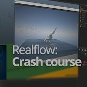 Realflow Realplayadev