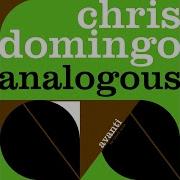 Chris Domingo Analogous Steve Kaetzel Remix