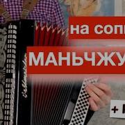 На Сопках Маньчжурии Аккордеон