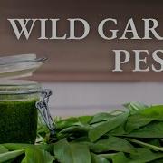 My Special Wild Garlic Pesto Recipe Secret Ingredient Included Chef Majk