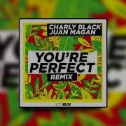 You Re Perfect Charly Black Juan Magán