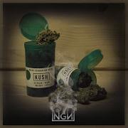 Next Generation Noise Kush