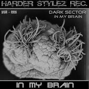 In My Brain Dark Sector